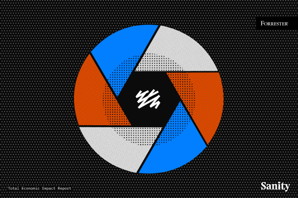 Graphic of a camera aperture with six blades in alternating blue, orange, and grey halftone patterns. A white scribble is in the black center. Text: FORRESTER, Total Economic Impact Report, Sanity.