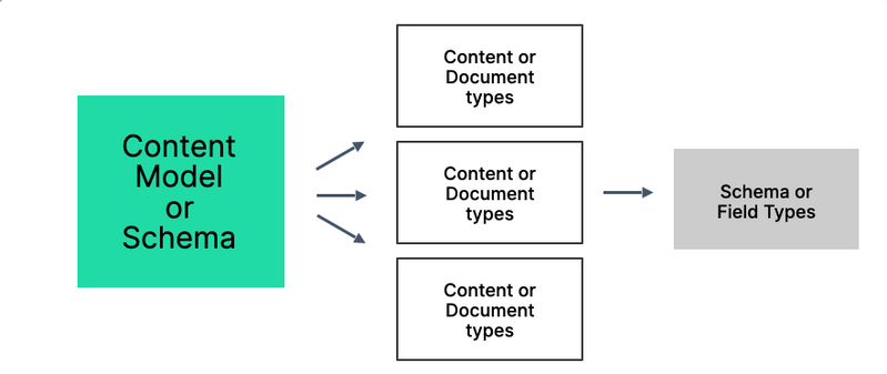 A diagram of a schema that describes its parts, Content or Document Types and these types are made of field or schema types. 