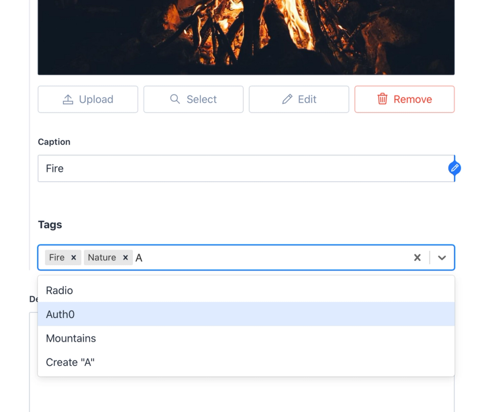 "Tags" autocomplete in the Studio "Tags" autocomplete in the Studio
