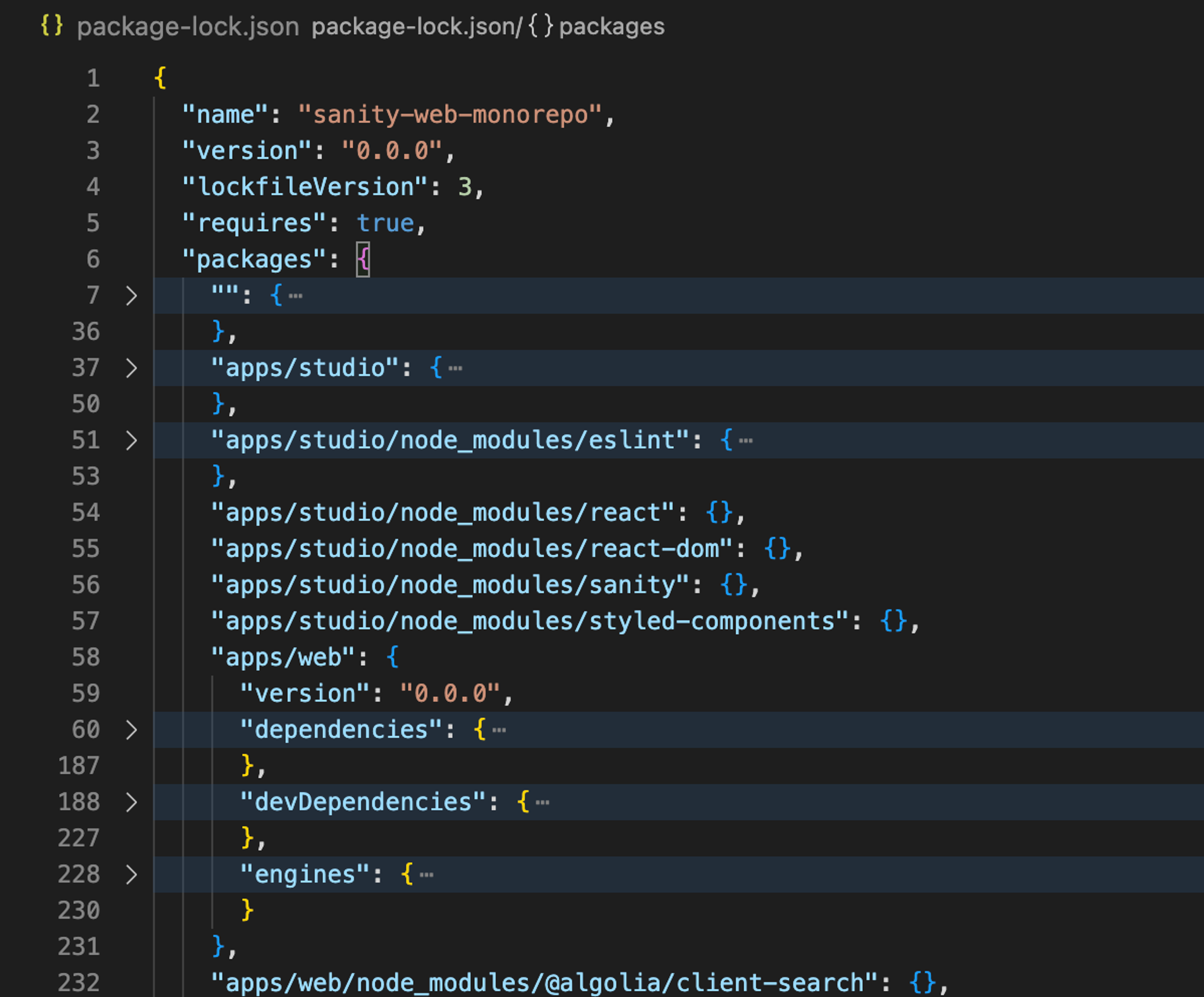 screenshot of a typical package-lock.json