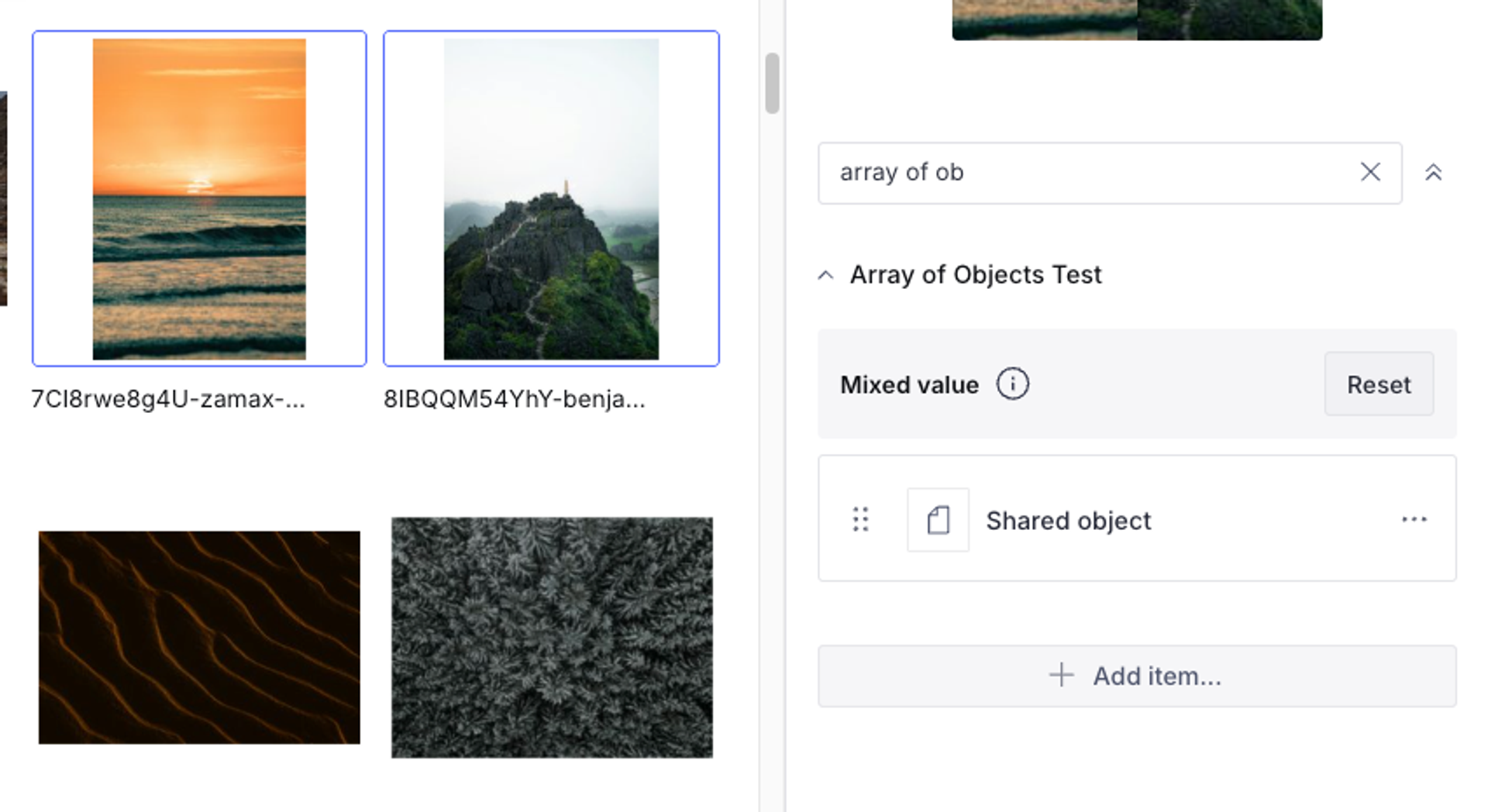 User interface displaying four nature photo thumbnails (sunset, mountain, sand dunes, forest) and a configuration panel for an "Array of Objects Test."