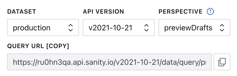 Dataset, API version and perspective dropdowns in Vision.