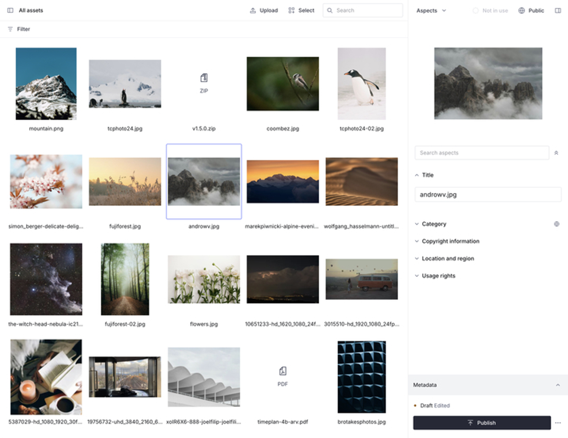 Image showing a list of assets and edit sidebar in the Media Library application