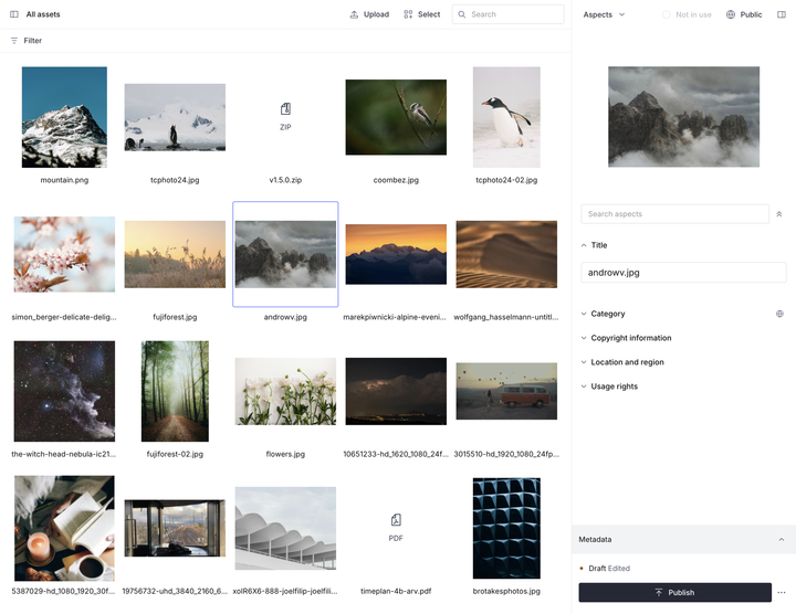 A digital asset manager interface showing a grid of image thumbnails, with an image selected  and its metadata details in a side panel