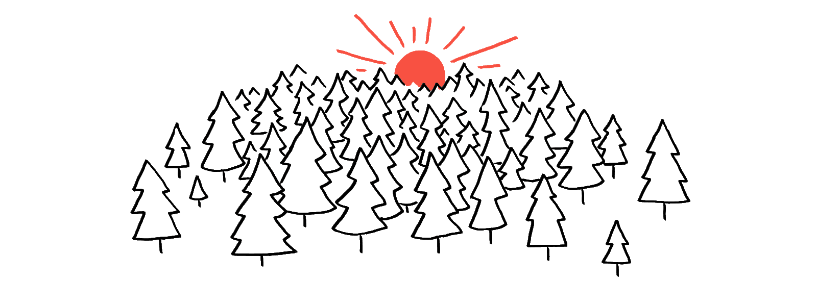 How to easily migrate from Contentful to Sanity 