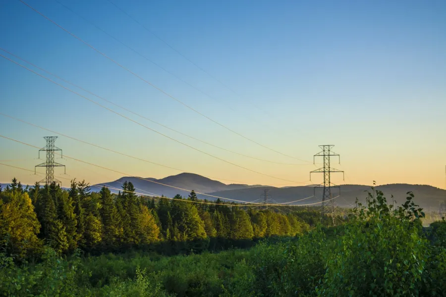 Photo by Jaël Vallée on Unsplash. A forest with power masts going through it. Mountains in the background.