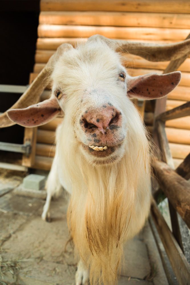 Bilde av Jørgen Martin Syvertsen