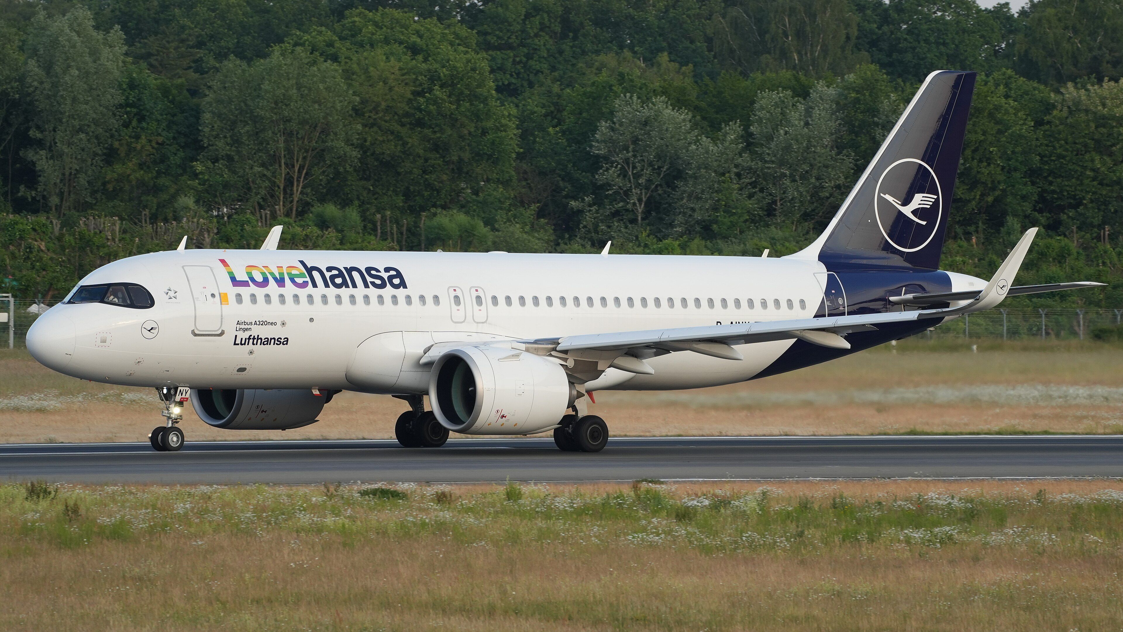 Flugzeug