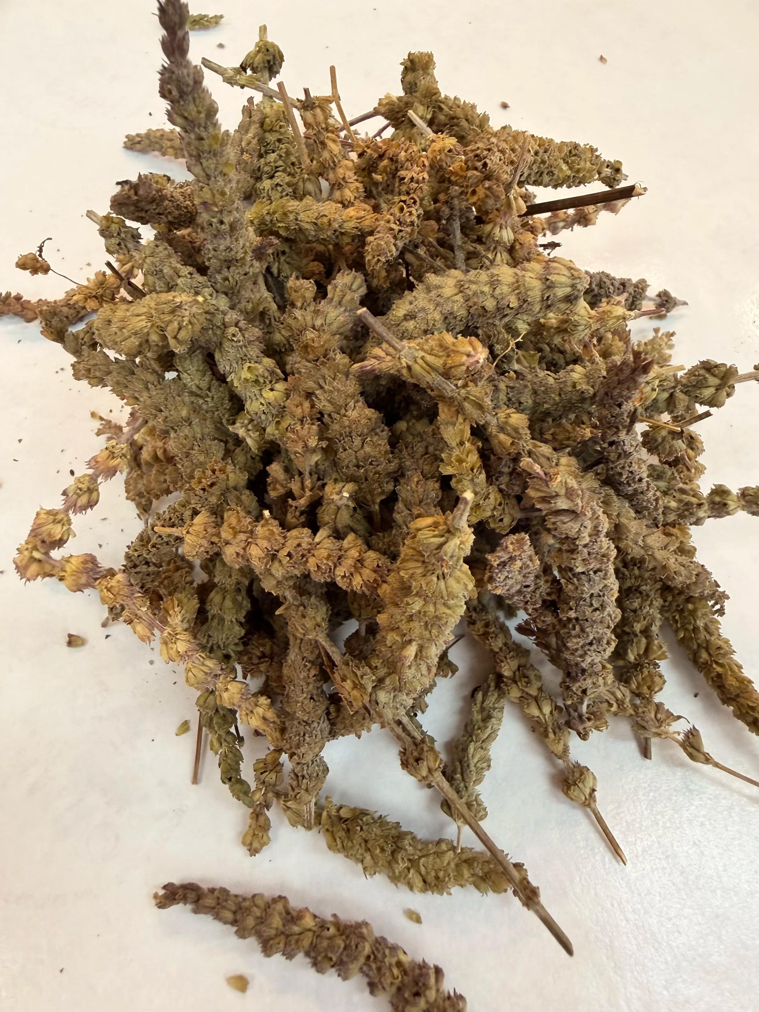 Dried Jing Jie stems and flower spikes on a light surface.