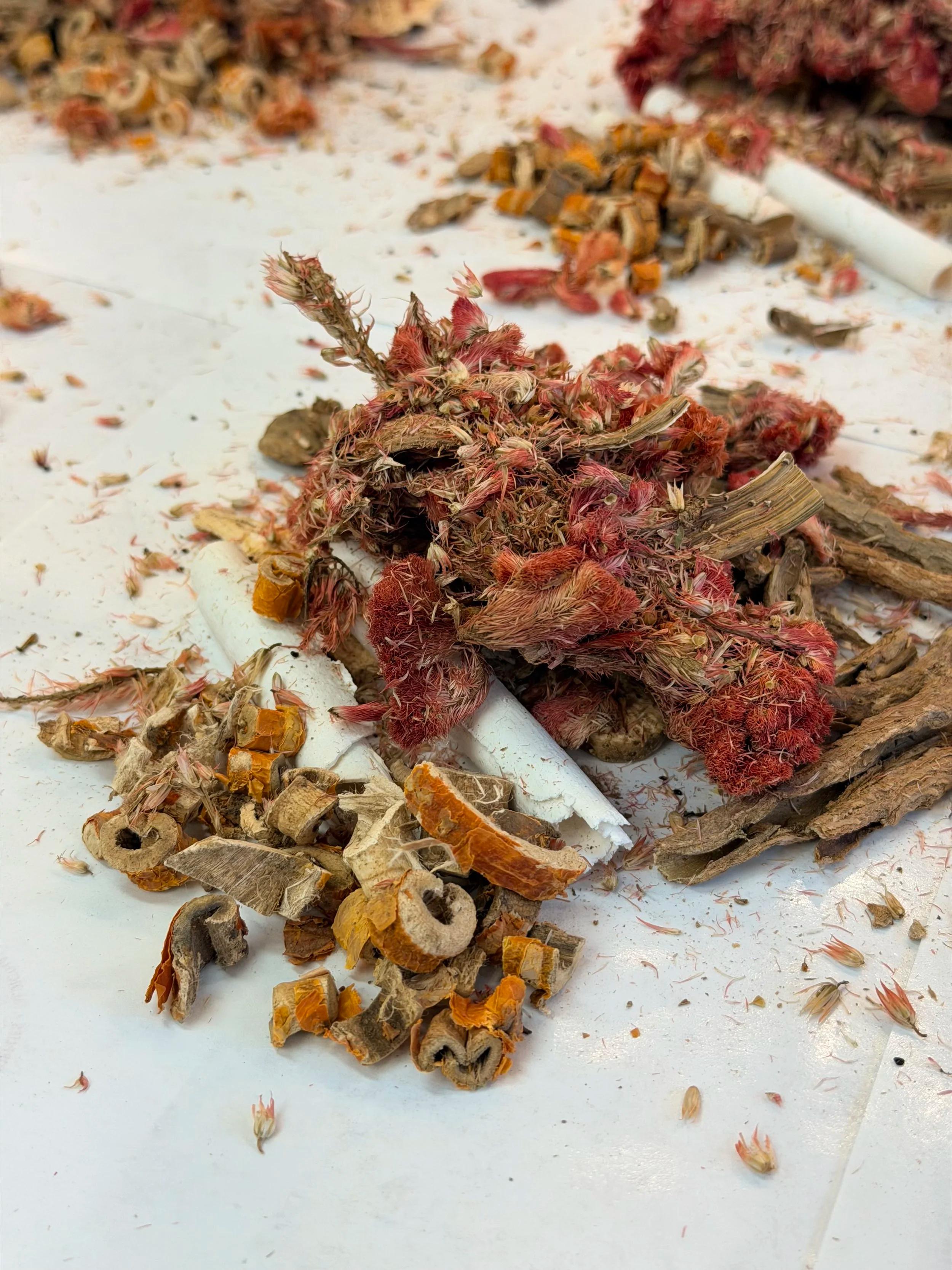 Dried herbs arranged on paper for a Chinese herbal medicine preparation.