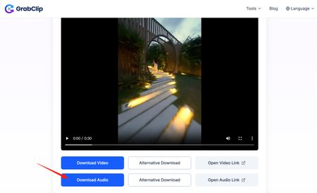 Click Download Audio on the GrabClip result page