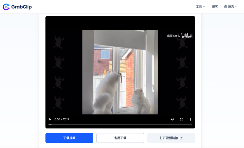 Click Download Video on the GrabClip Bilibili result page