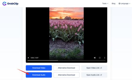 Click Download Audio on the GrabClip result page