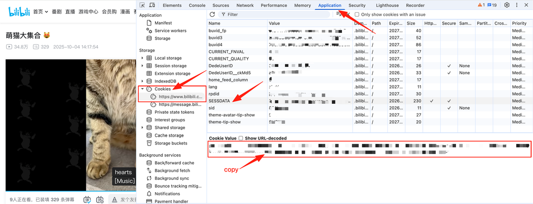 Find and copy SESSDATA from Bilibili cookies in Chrome Developer Tools