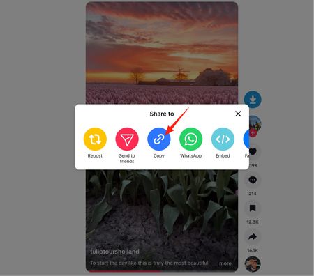 Click Copy in the TikTok share menu to copy the video link