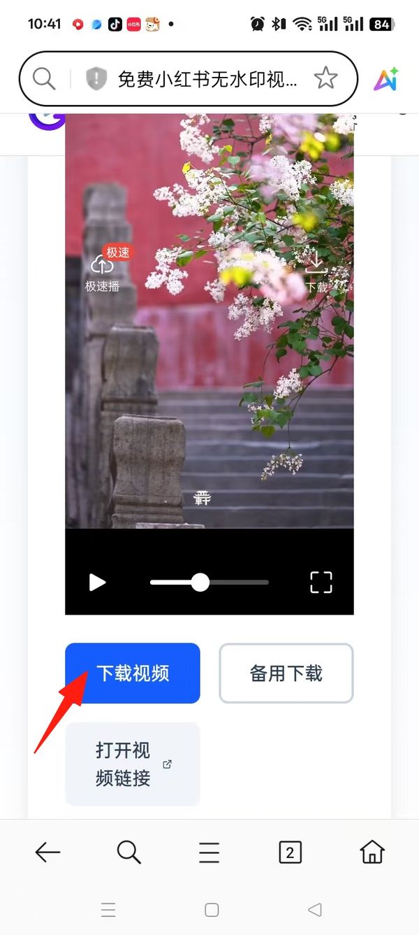 Tap Download Video to save a Xiaohongshu video in HD