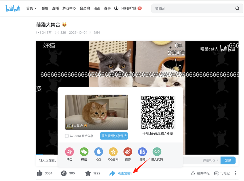 Copy the Bilibili video share link from the Bilibili video page