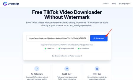 Paste the TikTok video link into GrabClip and click Download