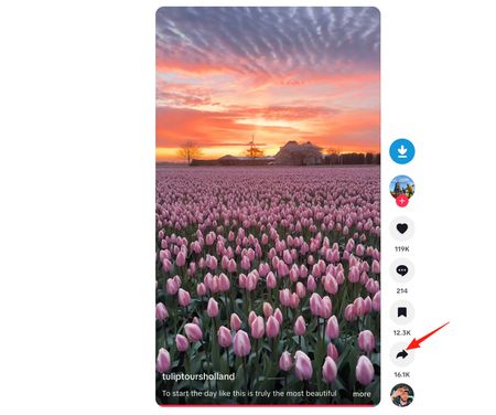 Click the Share button on a TikTok video page