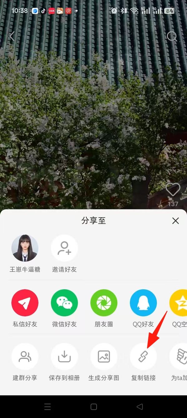 Tap Copy Link in the Xiaohongshu share menu