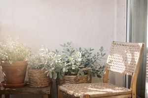 La luce del sole attraversa un balcone con piante e una sedia, in una giornata d’inverno.