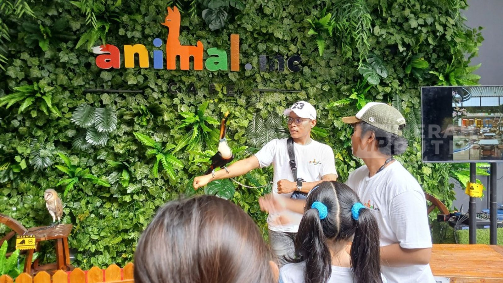 Pegawai kafe dan pengunjung berinteraksi dengan burung Toco Toucan di Animal.inc Cafe PIK 2