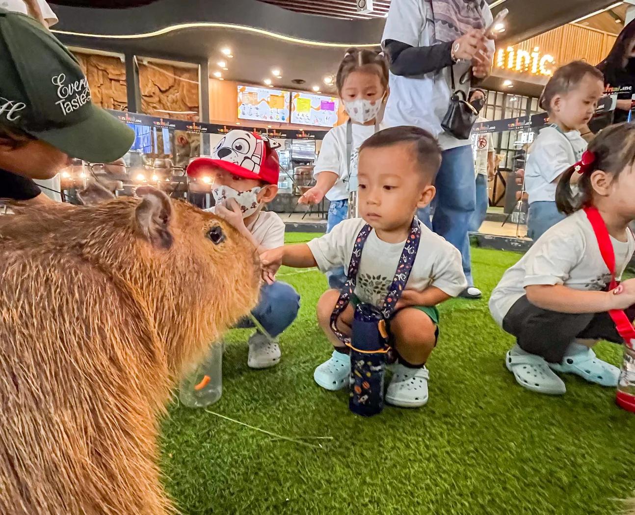 Suasana ruang utama animal.inc di siang hari