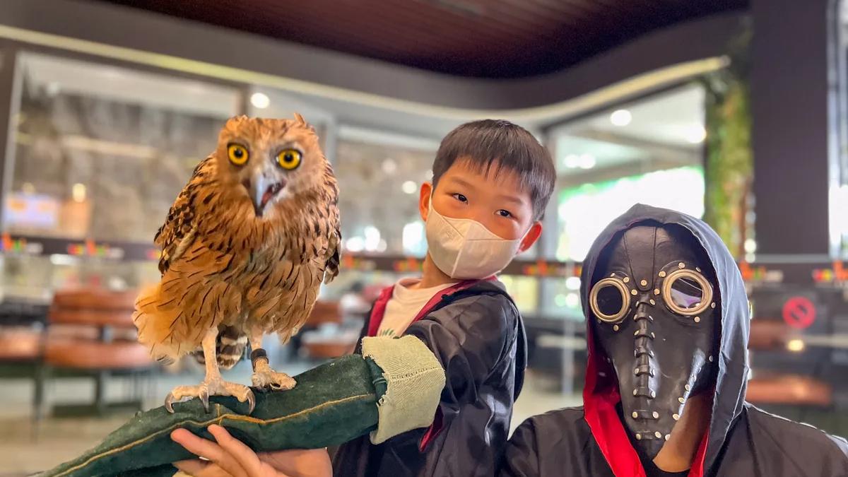 Anak mengikuti aktivitas Fly To Me Owl dengan sarung tangan dan pendampingan di Animal.inc