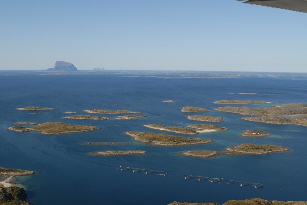 The Hjartøy N farming site