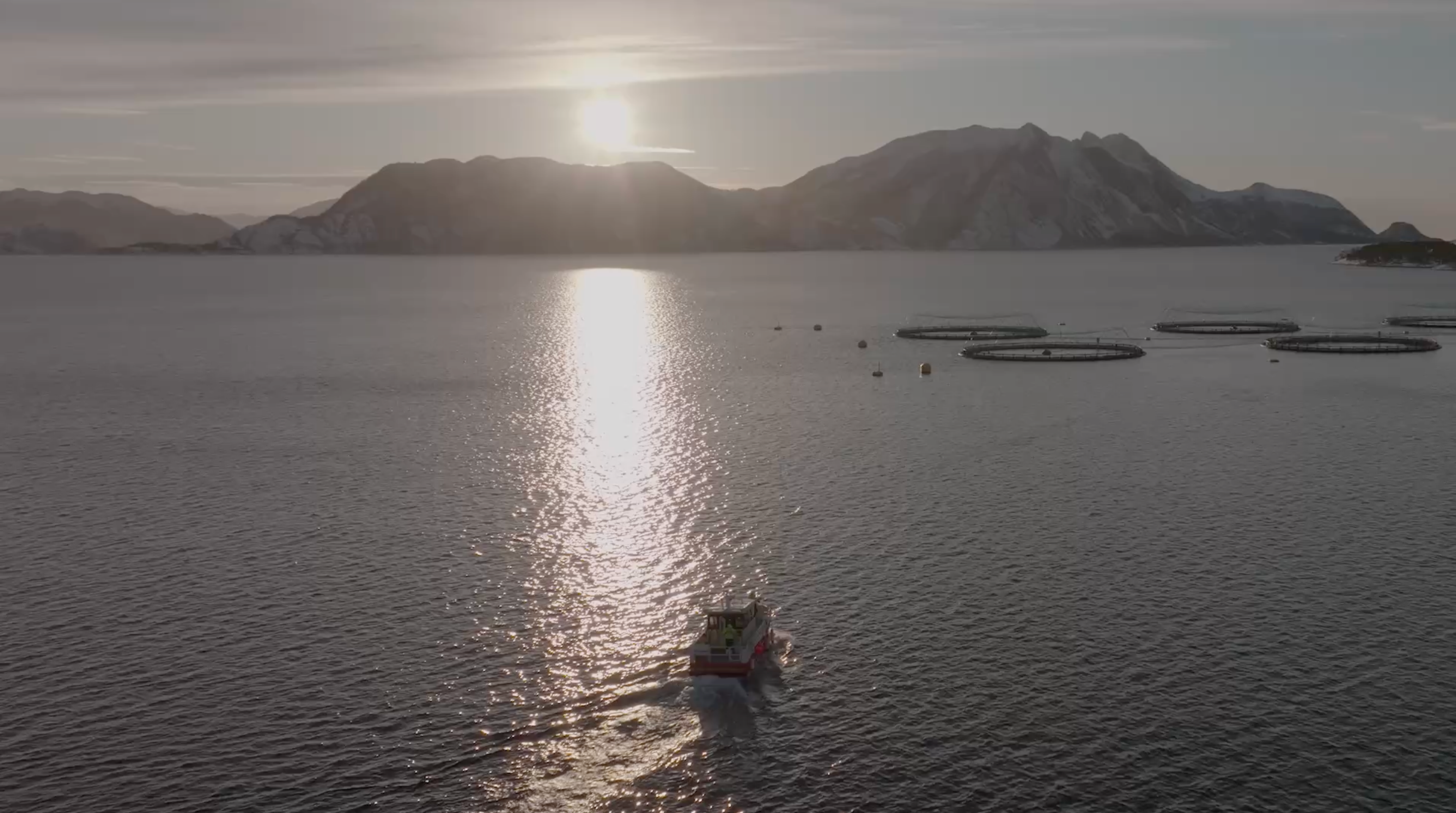 Hero video of the sea