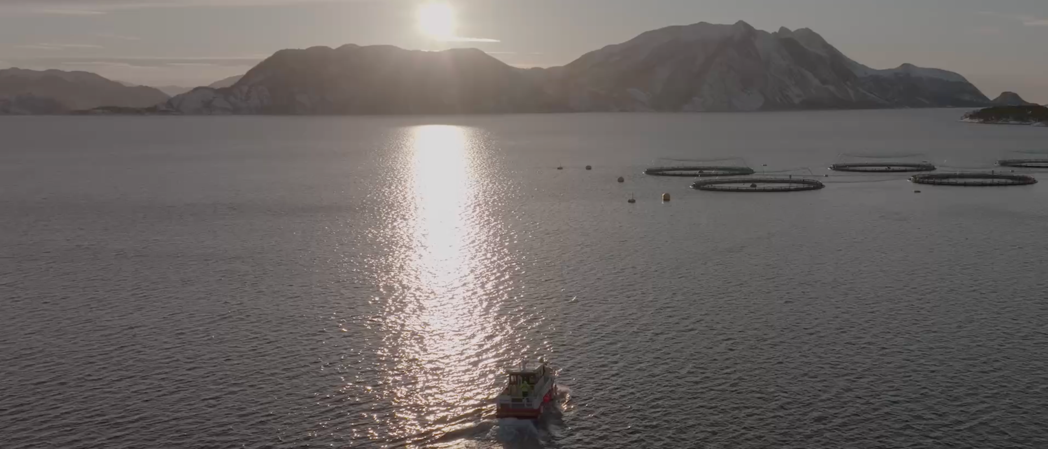 Hero video of the sea