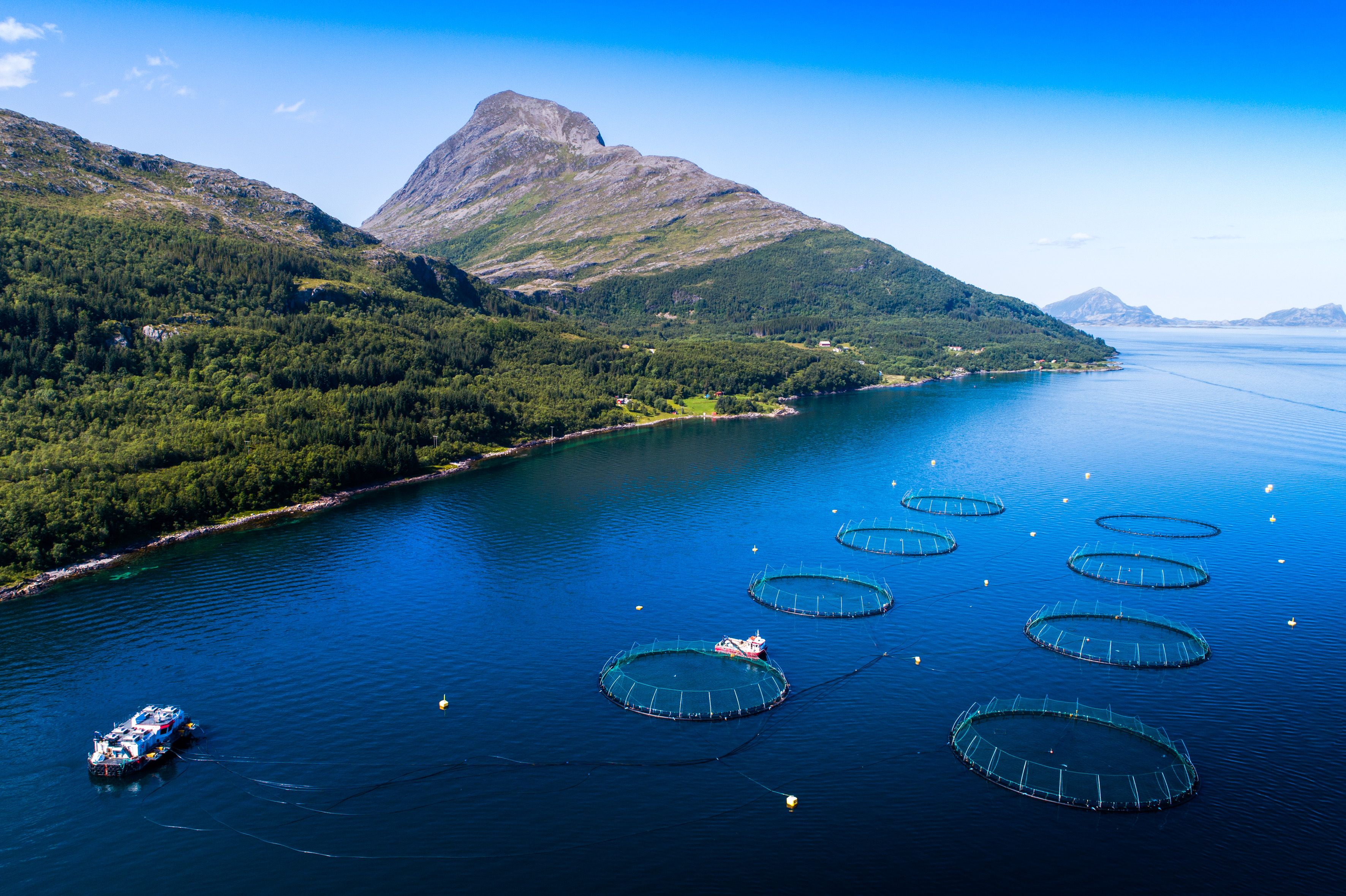 The Nordbotnet farming site