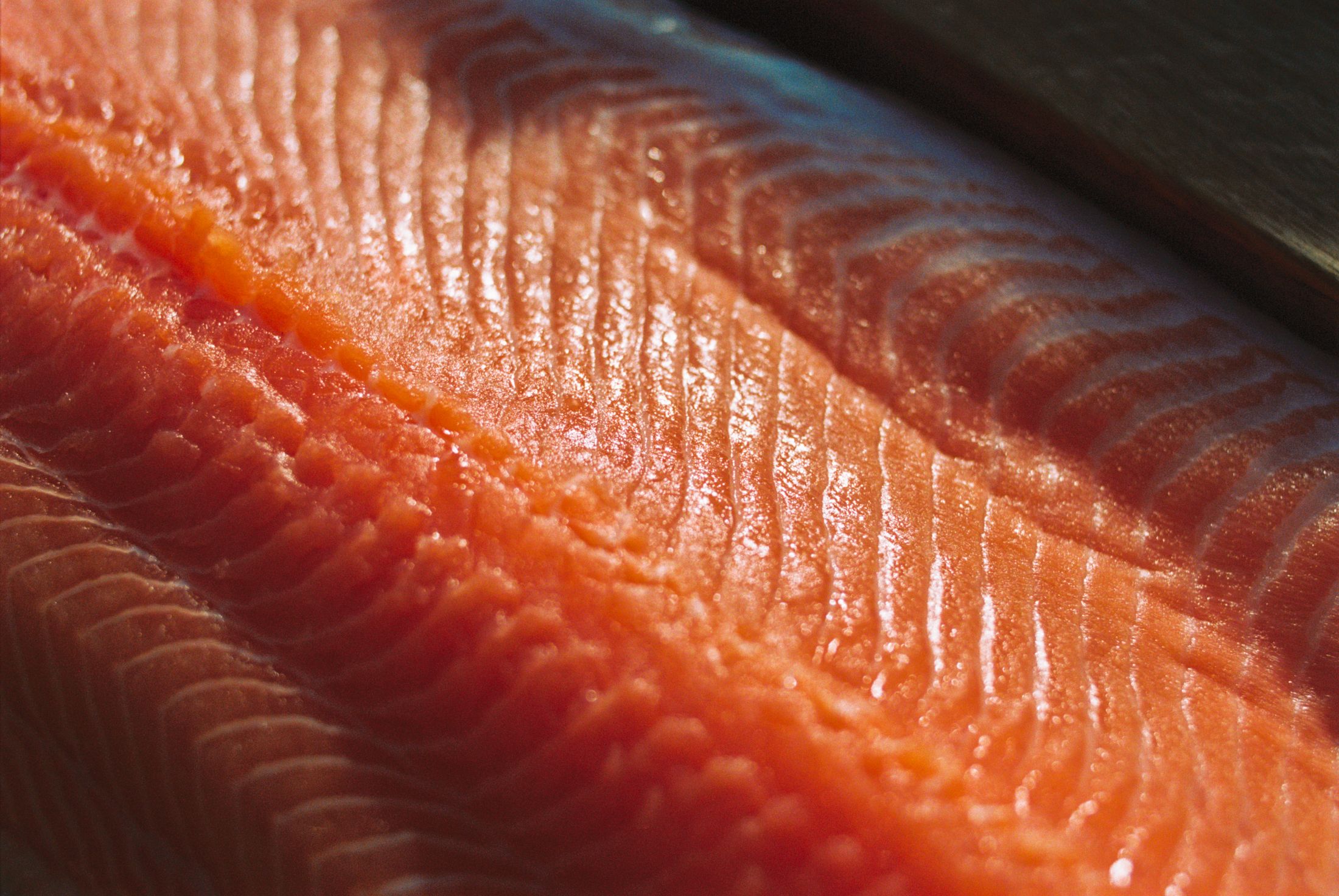 Image of salmon