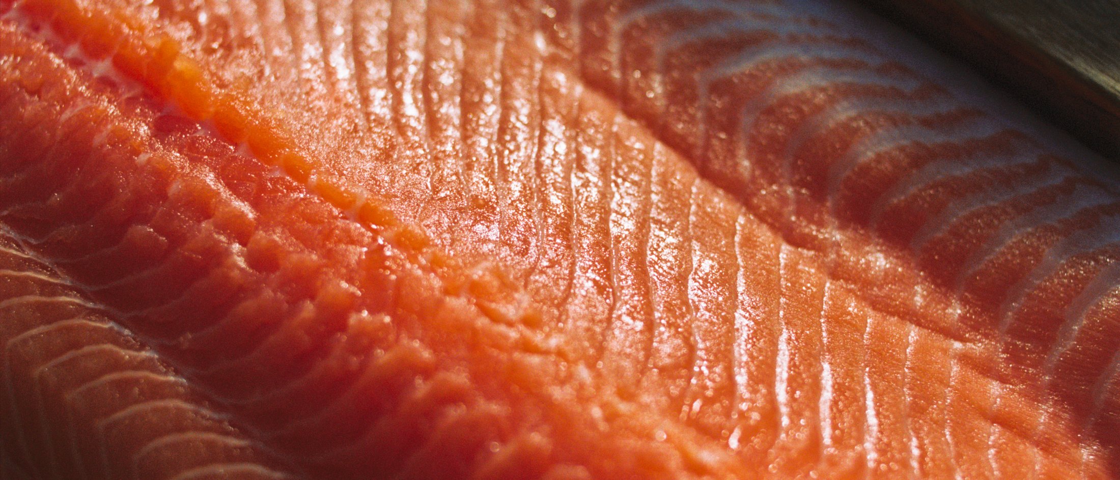 Image of salmon