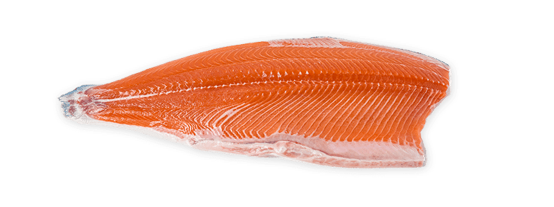 image of salmon A trim