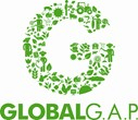 Globalg.A.P logo
