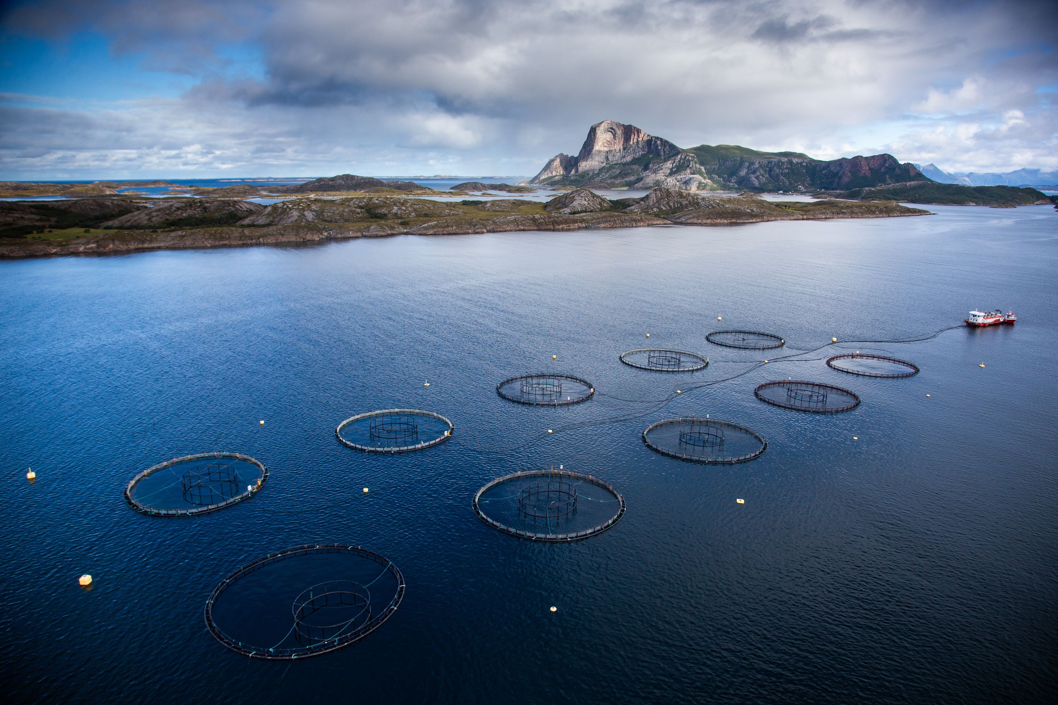 The Bukkøya Ø farming site