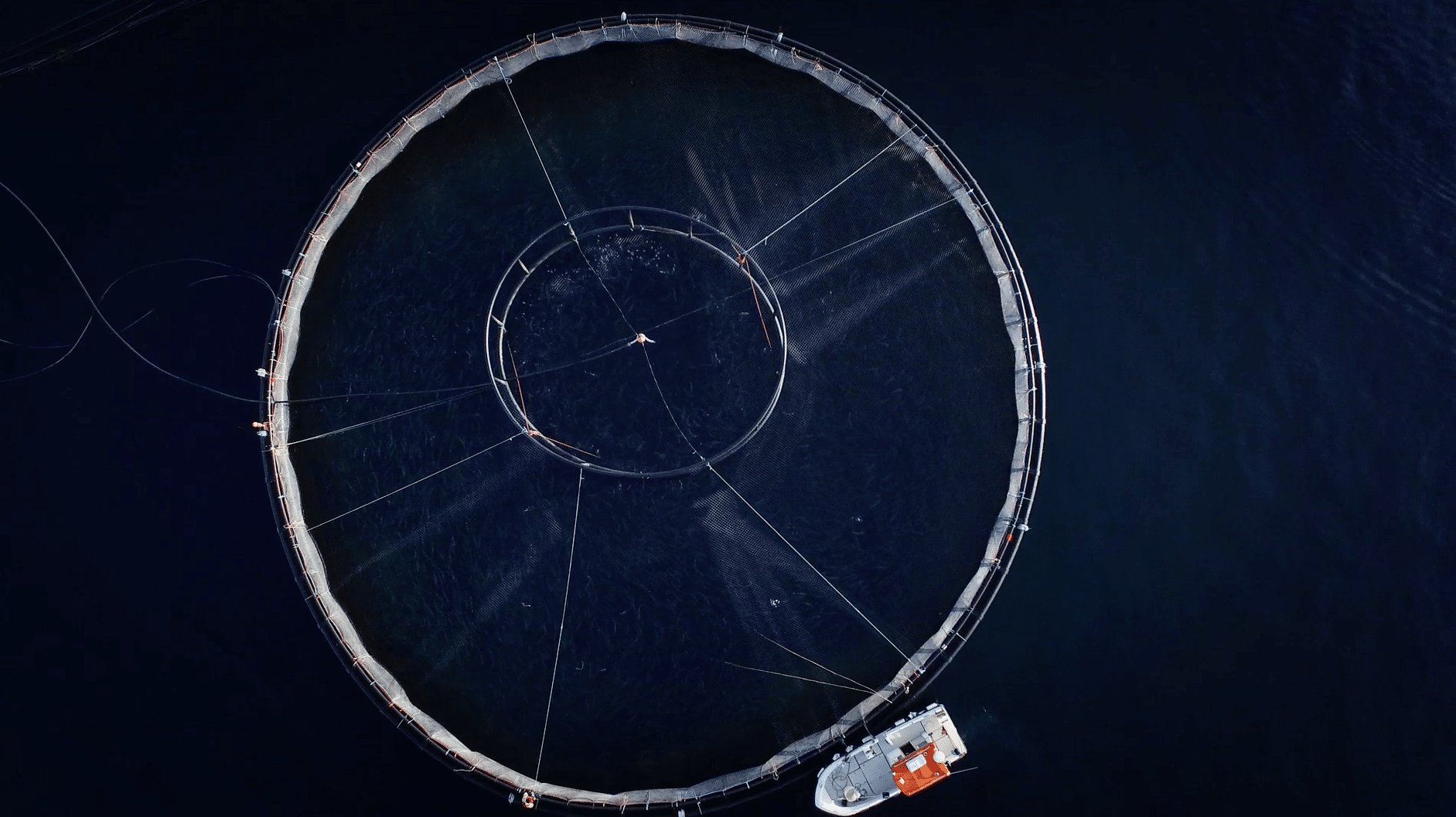 A circular net pen seen from directly above, with a workboat alongside