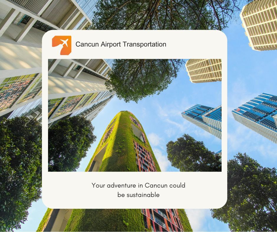 Your adventure in Cancun can be sustainable Your adventure in Cancun can be sustainable