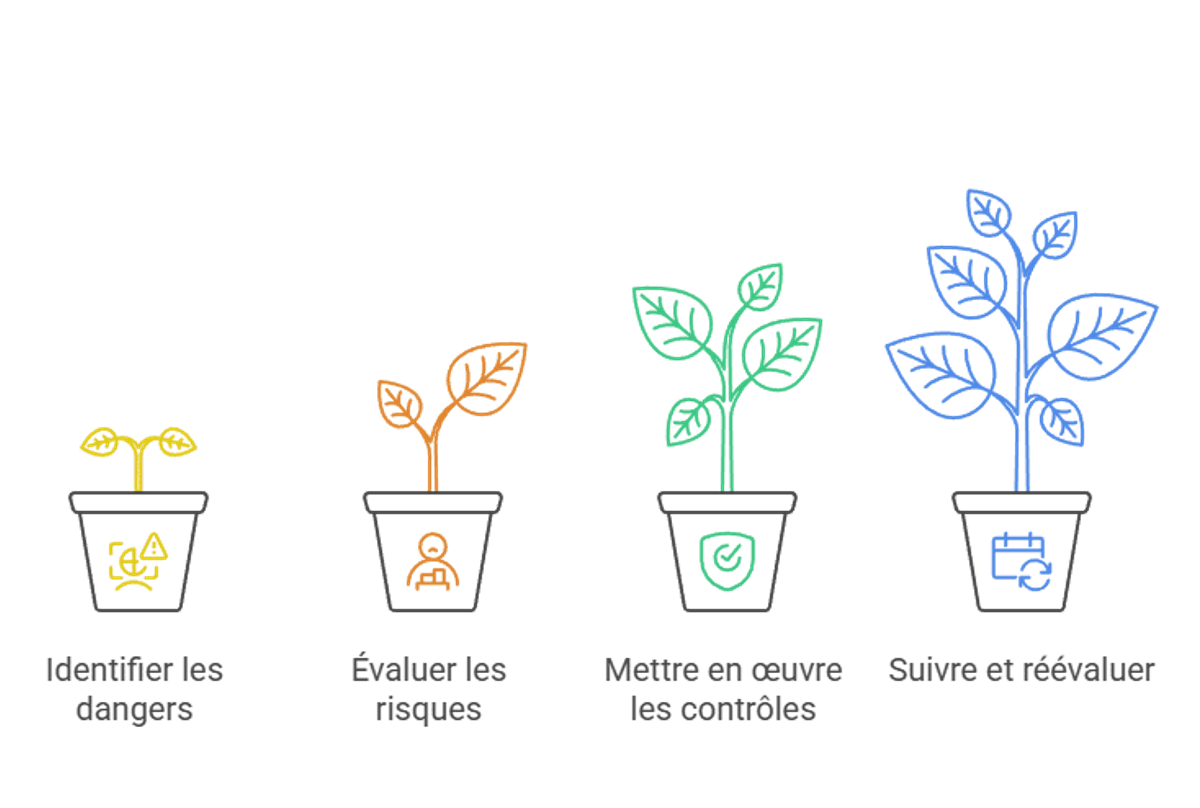 Illustration of the 4 steps of occupational risk assessment: identify hazards, assess risks, implement controls, and monitor and reassess, shown as growing plants.