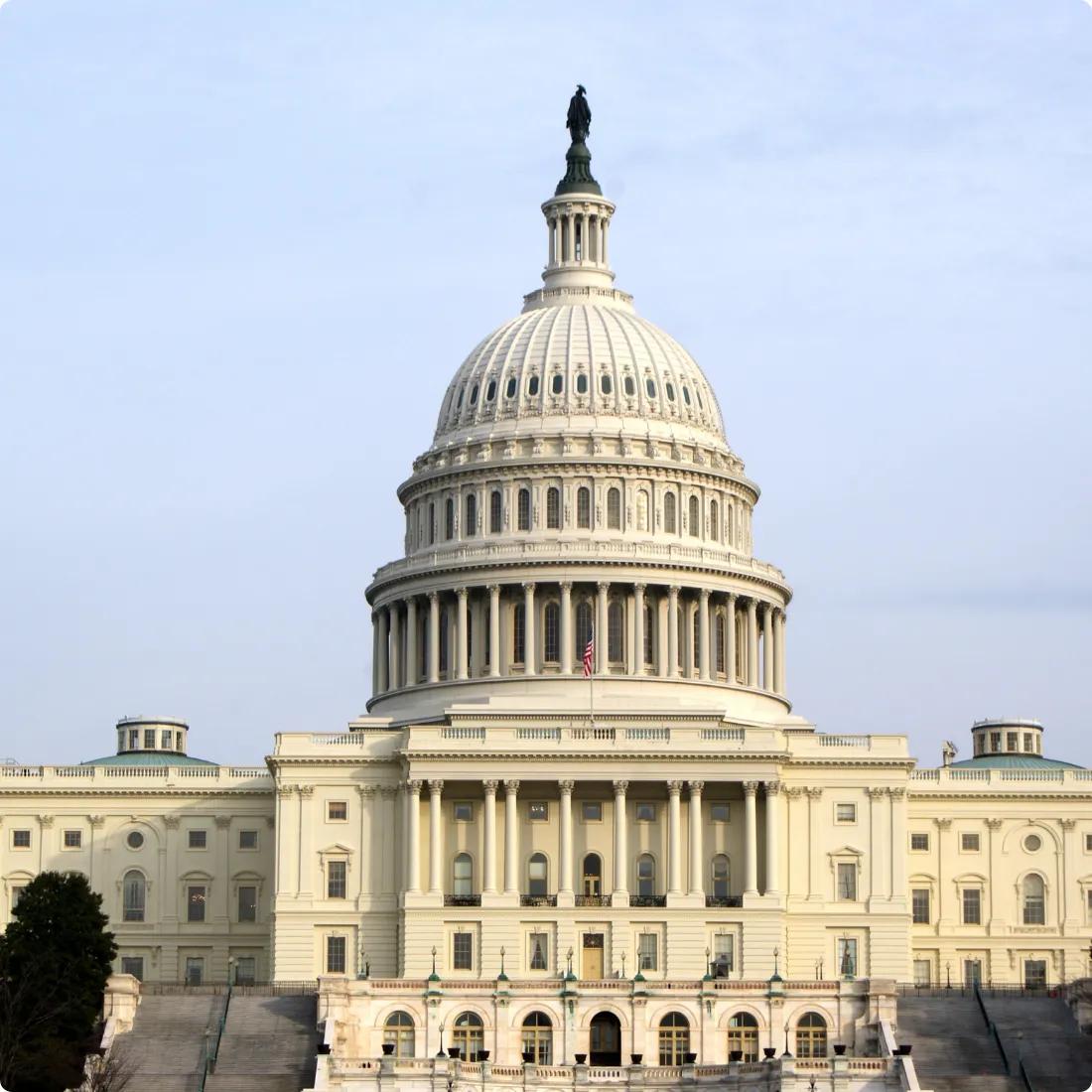 Government - Industries We Serve - Dark Horse CPAs