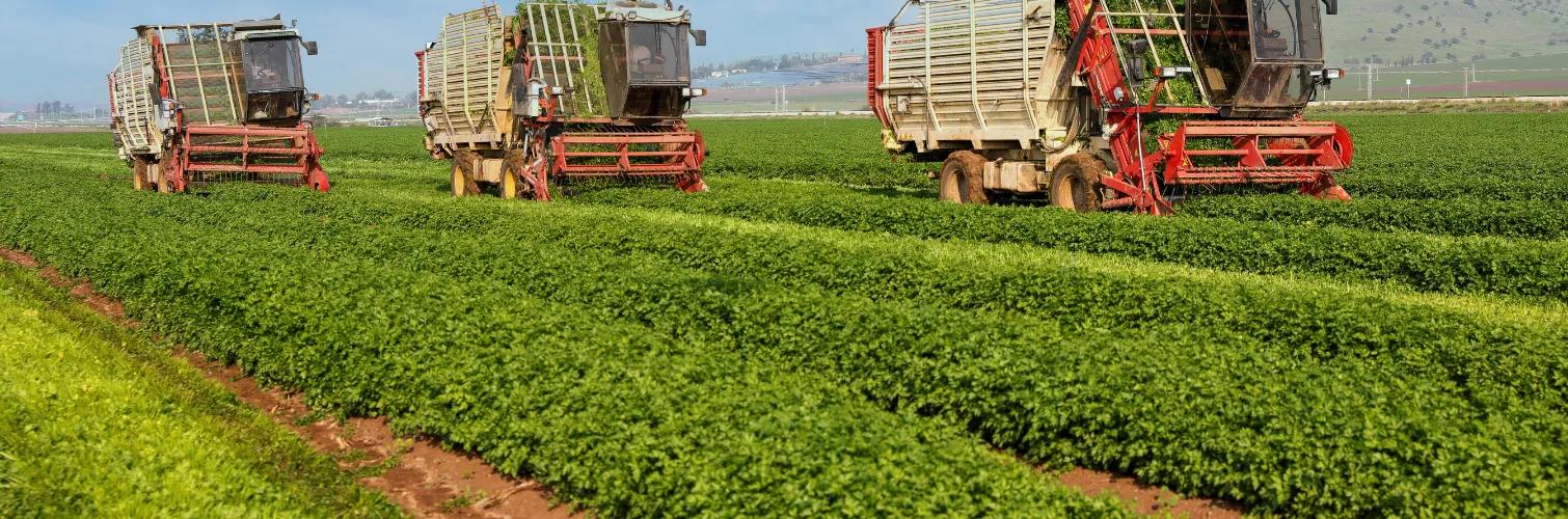 Agriculture - Industries We Serve - Dark Horse CPAs