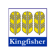 Kingfisher School of Business and Finance