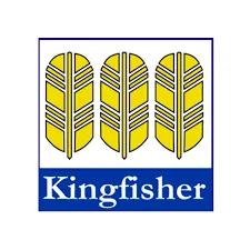 Kingfisher School of Business and Finance
