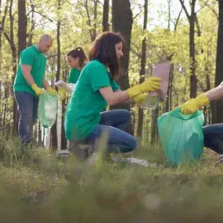 Non-profits