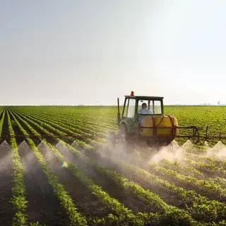 agriculture