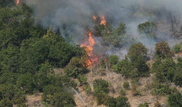 Image for Pomoć oštećenima u požarima