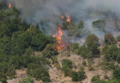 Image for Pomoć oštećenima u požarima