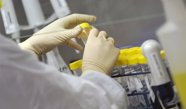Pored Nemačke, Francuske i Austrije, slučajevi su prijavljeni i u Španiji, Grčkoj, Italiji, Holandiji, Severnoj Makedoniji, Rumuniji, Srbiji i drugim zemljama, preneo je Špigel
