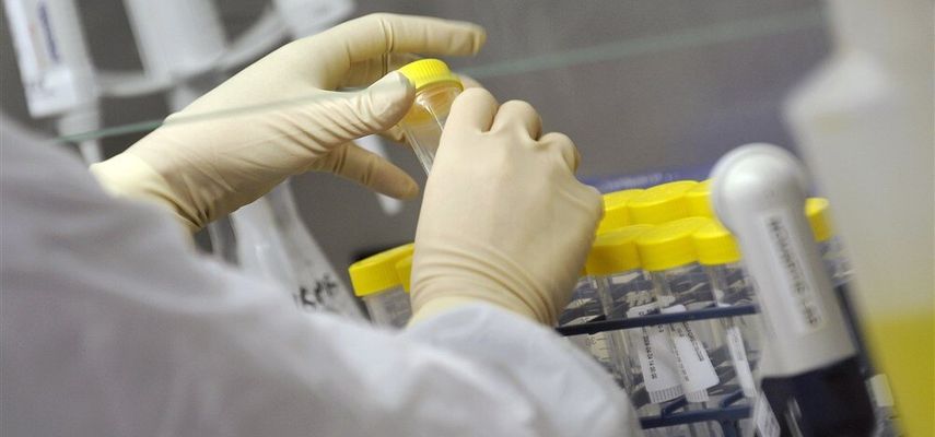 Pored Nemačke, Francuske i Austrije, slučajevi su prijavljeni i u Španiji, Grčkoj, Italiji, Holandiji, Severnoj Makedoniji, Rumuniji, Srbiji i drugim zemljama, preneo je Špigel